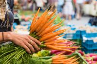 Frisch und regional (c) Salzburger Landwirtschaft