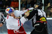 Raufbolde Raffl und Plante (c) GEPA Mandl.jpg