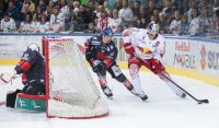 EC Red Bull Salzburg vs HC Innsbruck (c) GEPA Steiner