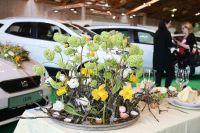 Auto und Garten Messe (c) MZS Franz Neumayr