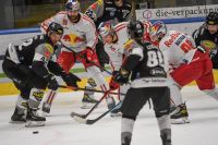 Dornbirn Bulldogs vs EC Red Bull Salzburg (c) GEPA pictures Oliver Lerch