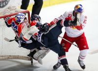 KHL Zagreb vs EC Red Bull Salzburg (c) GEPA pictures Matic Klansek.jpg